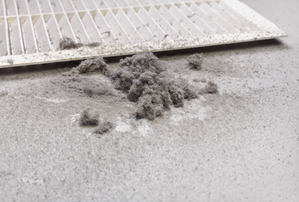 Best Air Duct Cleaning Near Me  in Buxton, NC