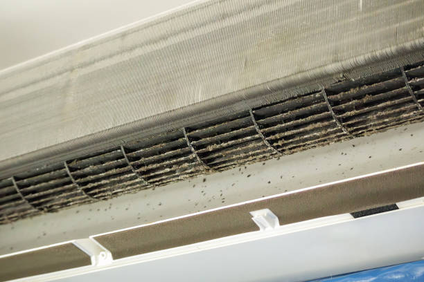 Best Air Duct Cleaning Near Me  in Buxton, NC